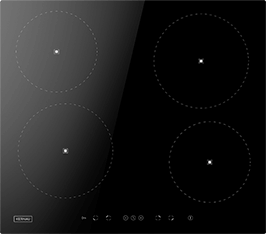 Induktionsfeld Reparatur Coswig
